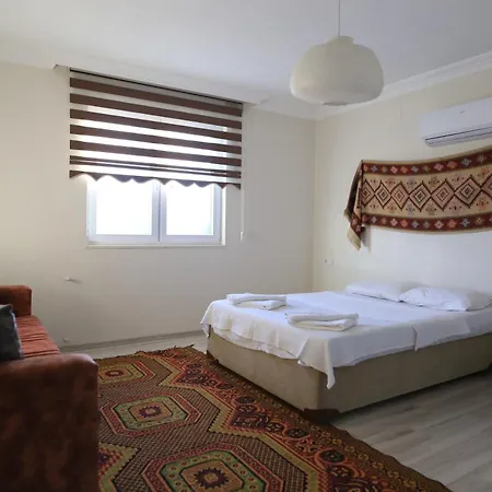 Solmaz Villa *