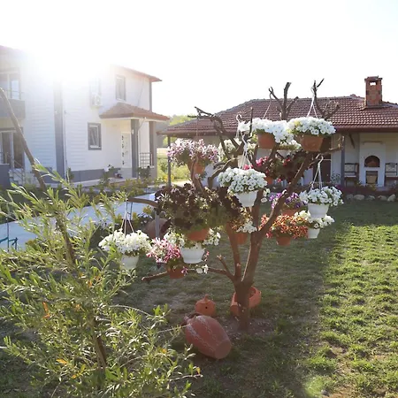 Villa Solmaz *