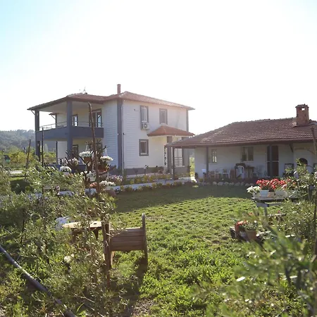 Solmaz Koycegiz (Mugla)